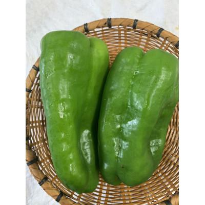 ふるさと納税 津山市 季節のおまかせ野菜セット |  | 03