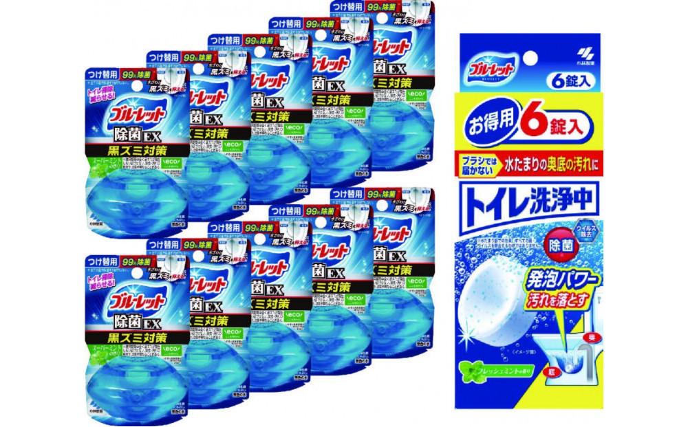 
            液体ブルーレットおくだけ除菌ＥＸスーパーミント　付替え用10個＆トイレ洗浄中(6錠)×1
          