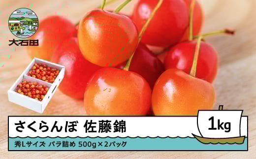 
             さくらんぼ 佐藤錦 秀Lサイズ バラ詰め 1kg(500g×2パック) 2026年産 令和8年産 山形県産 ふるさと納税 果物 くだもの フルーツ 期間限定 冷蔵配送 先行受付 グルメ 取り寄せ ご当地 特産 産地 直送 送料無料 東北 山形県 人気山形県産 ns-snslb1
          