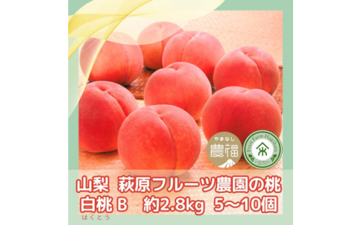 ＜2025年先行受付＞山梨 萩原フルーツ農園の桃　白桃B (約2.8kg 5～10個入)【1477611】