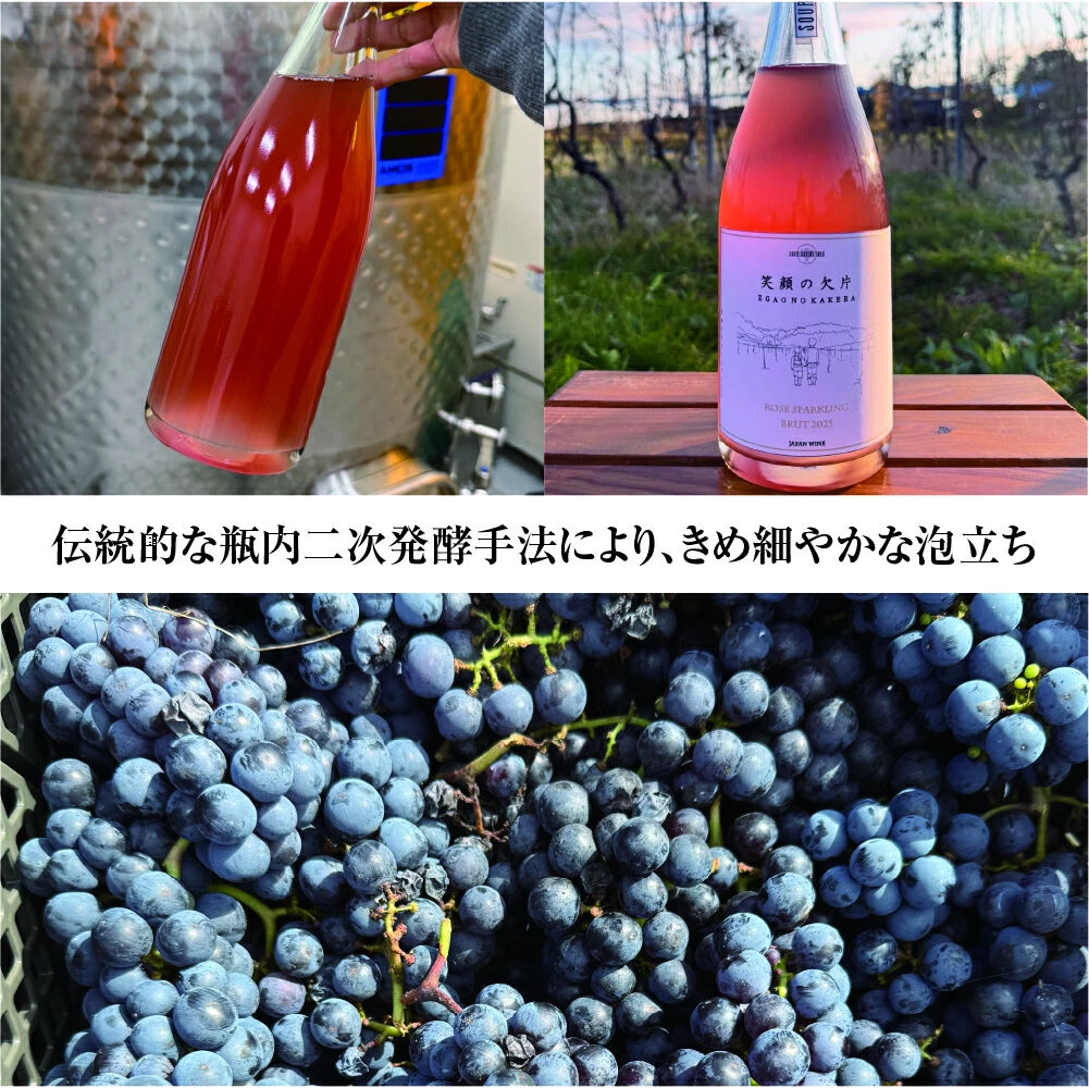 名取市産ぶどうのスパークリングワイン 「笑顔の欠片 ROSE SPARKLING BRUT 2025」 750ml 1本 [ロゼ 国産 お酒 ディナーに]