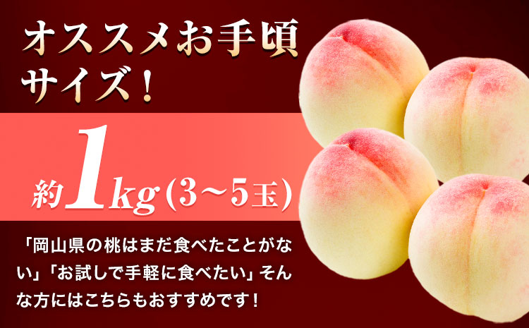 【先行予約】岡山の桃 約1kg 3～5玉前後《2025年6月下旬-9月上旬頃出荷》 フルーツ 果物 岡山 矢掛町 ---ofn_cwom_l69_23_10000_1000--- 桃 桃 桃 桃 桃 