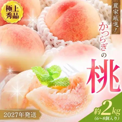 桃 和歌山の桃 約2kg（6個~9個）【2027年6月20頃～順次発送予定】（お届け日指定不可）【kgr001B】