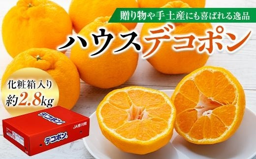 
ハウスデコポン 約2.8kg 化粧箱入り
