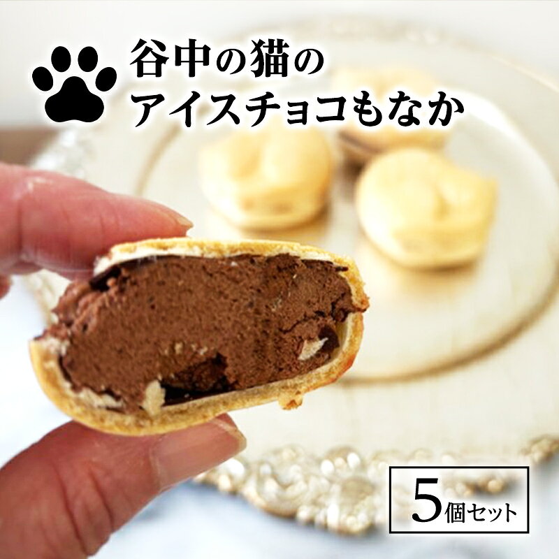 【ふるさと納税】谷中の猫のアイスチョコもなか チョコレート チョコ アイス 最中 もなか モナカ スイーツ 東京都 文京区