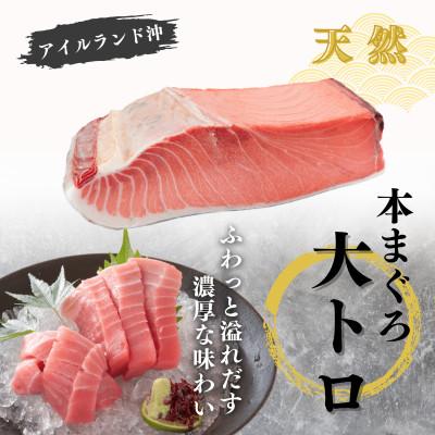 ふるさと納税 三浦市 【至極の味わい】天然本まぐろ 1kg(大トロ200g,中トロ400g, 赤身400g) |  | 01