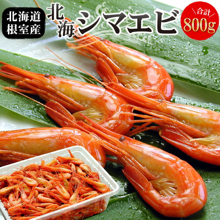 【ふるさと納税】 [北海道根室産] 北海シマエビ 800g ( 80 〜 130 尾 ) エビ えび 海老 シマエビ しまえび 縞えび 縞エビ 縞海老 ボイル 茹でえび 茹でエビ 茹で海老 ゆでえび ゆで海老 ゆでエビ 北海道 根室市 ふるさと納税