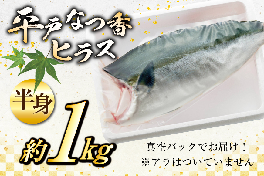刺身 ヒラマサ 平戸なつ香 ヒラス 半身 約1kg [（株）坂野水産 長崎県 平戸市 hr42bgy420005] 魚介 さかな お刺身 刺身用 さしみ 柵 冷蔵 下処理済 簡単調理 時短 おかず フ