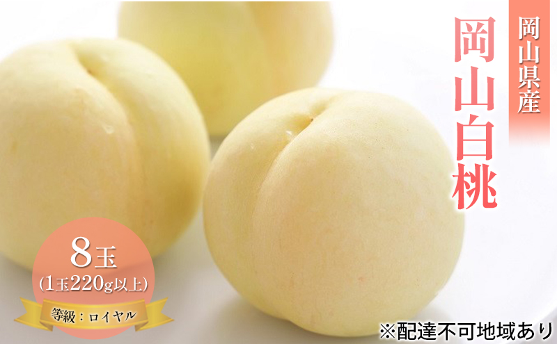 桃 2025年 先行予約 岡山 白桃 8玉 約1.8kg 等級：ロイヤル（1玉 220g以上） もも モモ 岡山県産 国産 フルーツ 果物 ギフト