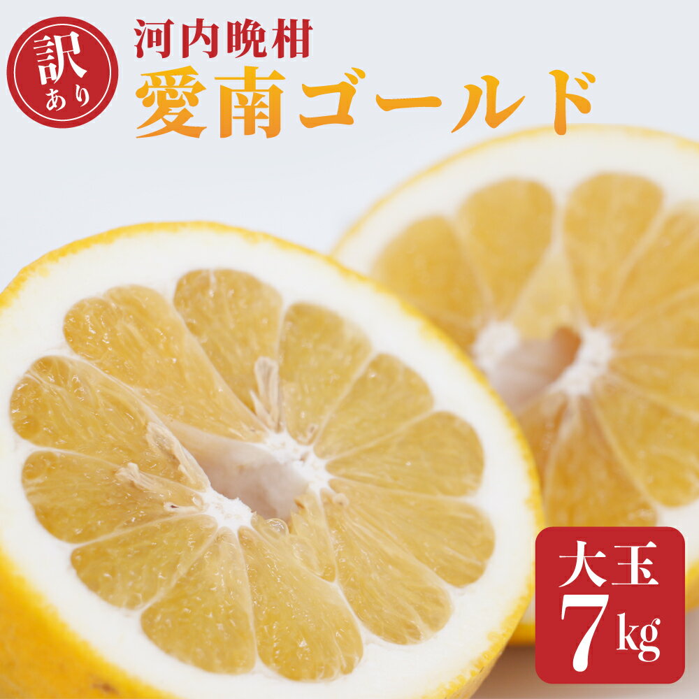 【ふるさと納税】訳あり 愛南ゴールド 大玉 7kg 河内晩柑 柑橘 フルーツ 果物 蜜柑 みかん くだもの 家庭用 傷 かわち ばんかん 和製 グレープフルーツ デザート甘い ジューシー 特産品 国産 農園 直送 愛媛県 愛南町 和家農園