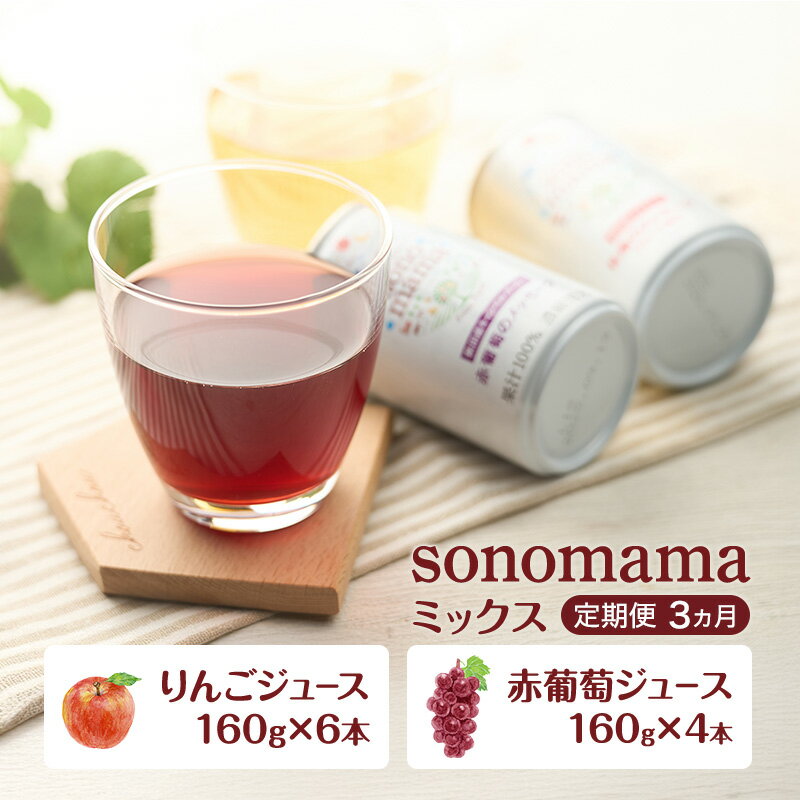 【ふるさと納税】《 定期便 3ヵ月 》ミックス「sonomama」(160g×10本）りんごジュース 赤ぶどうジュース ジュース 飲料