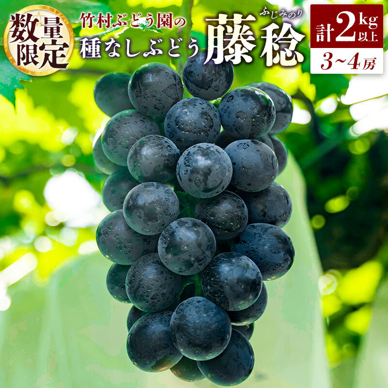 【ふるさと納税】＜数量限定＞先行予約 竹村ぶどう園 種なし ぶどう「藤稔」計2kg以上（3～4房）国産 葡萄 大粒 産地直送 ふじみのり
