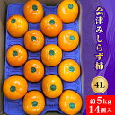 【ふるさと納税】会津身しらず柿 4L (14個入り) 約5kg 果樹園 壱心産｜会津若松 果物 フルーツ 柿 身知らず みしらず かき カキ 会津身不知柿 令和6年 2024年 旬 [0831]