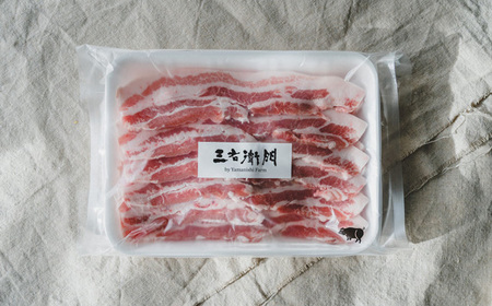 No.231 【定期便6回】山西牧場　ぶたづくしセット