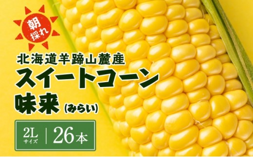
                  北海道 スイートコーン 味来 約10kg 2Lサイズ 計26本 とうもろこし とうきび コーン 新鮮 採れたて 産直 JAようてい
                
