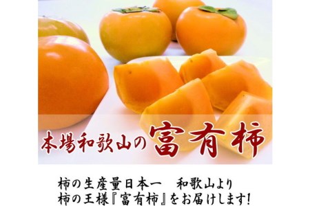 【0148-3】富有柿 5kg (18～24個) 和歌山産≪先行予約2025年10月下旬頃より順次発送分≫