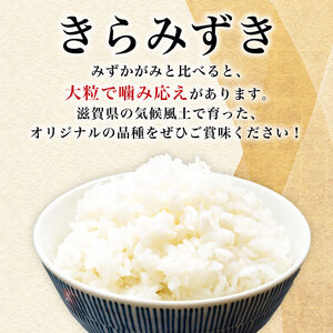 数量限定 先行予約 令和7年産 きらみずき 白米5kg×2セット 白米 米 コメ お米 新米 ご飯 ごはん 5kg 10kg 5 10 令和7年 7年 滋賀 彦根