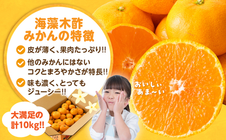 訳あり 数量限定 海藻木酢みかん 計10kg以上 傷み補償分付き フルーツ 果物 くだもの 柑橘 みかん　国産 期間限定 食品 家庭用 自宅用 B品 わけあり オレンジ デザート おやつ おすすめ お
