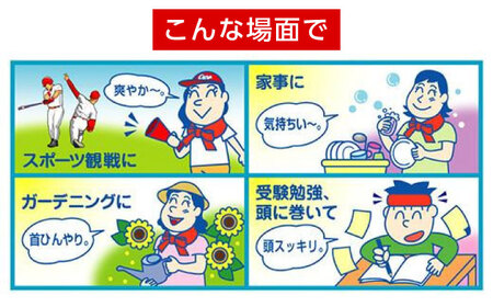 カープスーパーネックール氷結II（2個セット）[BACL001] カープグッズ