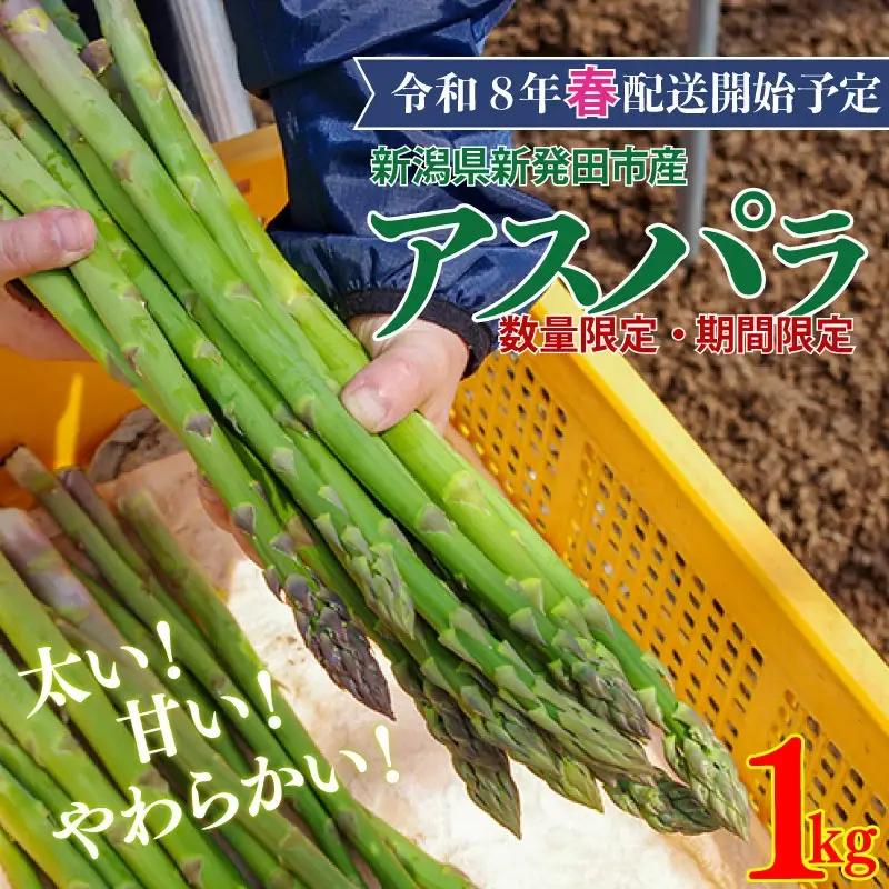 R8年産先行予約 アスパラガス 1kg 約40本 アスパラ 野菜 旬 アスパラ アスパラ のぞみファーム アスパラ アスパラ アスパラ アスパラ  nozofarm001_01