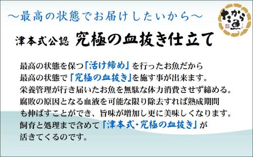 〜津本式・究極の血抜き仕立て〜おいしかタイ1.2kg( 松浦 養殖 真鯛 長期熟成 津本式 究極の血抜き 保栄水産 )【B8-045】