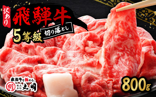 【訳あり】飛騨牛5等級　切り落とし用途いろいろ　800g【配送不可地域：離島】