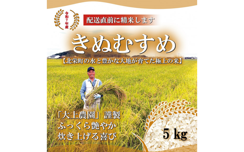 1104.令和7年産　きぬむすめ精米 5kg