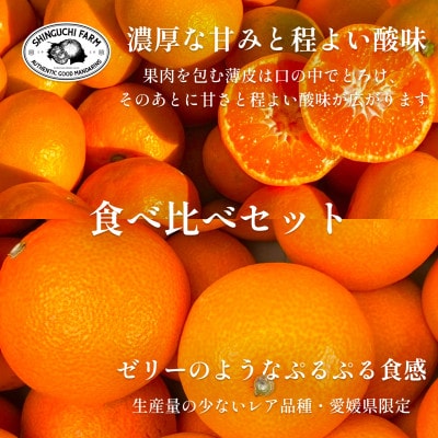 創業百八年 愛媛みかんの老舗【みかん2kg+まどんな2kg】食べ比べセット【C70−36】【1536339】