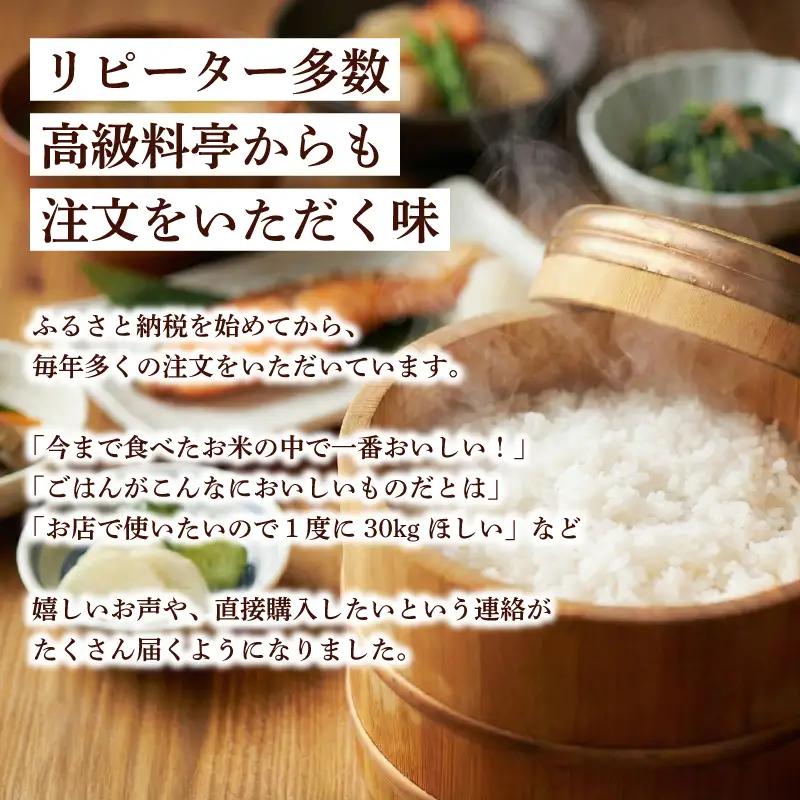 令和8年産 米 コシヒカリ 5kg 白米 精米 コシヒカリ
