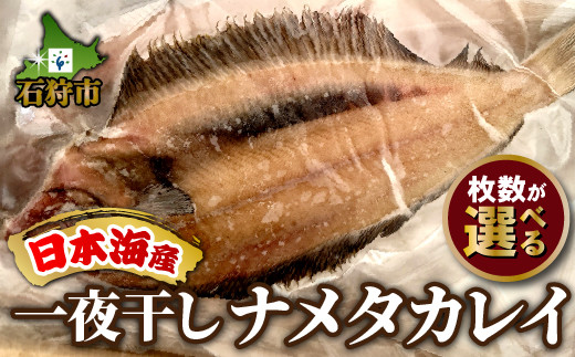 
一夜干しナメタカレイ 3枚～12枚入り｜ふるさと納税 石狩市 かれい 干物 一夜干 魚 鰈
