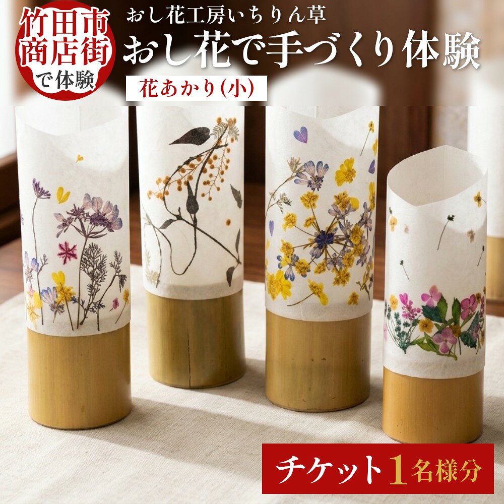 【ふるさと納税】竹田市商店街で体験！【おし花工房いちりん草】のおし花で手づくり体験〜花あかり（小）