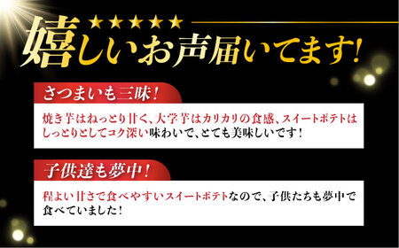 【全3回定期便】ねっとり濃厚！てくてくのさつまいもスイーツ ひとりでも！おためしサイズ3種詰め合わせ 焼き芋 人気 お菓子 デザート ギフト プレゼント 江田島市/峰商事 合同会社[XAD076]
