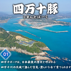 豚肉 とんかつ 960g 8人前 ブランド豚 四万十ポークカツ 豚カツ バーベキューソース付き 高知県 須崎市