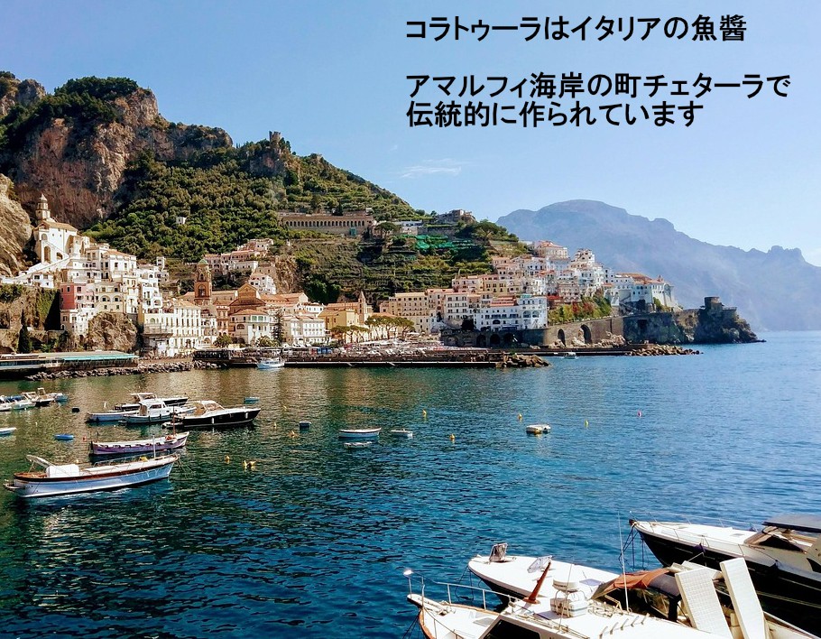 イタリアアマルフィの魚醤コラトゥーラ