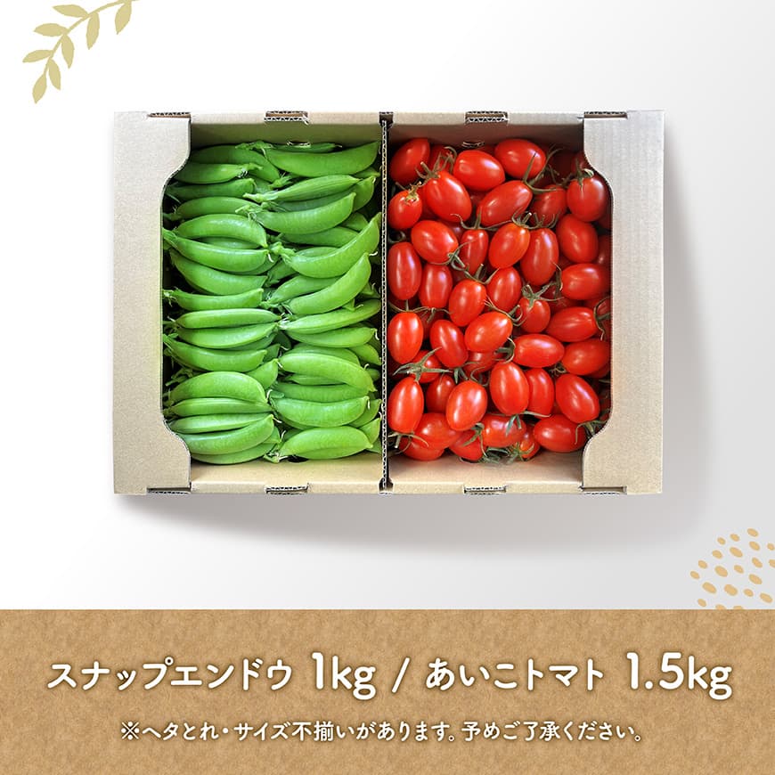 【令和8年発送】宮崎県産　あいこトマト1.5kg　&　スナップエンドウ1kg 【 野菜 ミニトマト とまと スナップエンドウ 宮崎県産 川南町産 野菜 産地直送 新鮮 数量限定 】