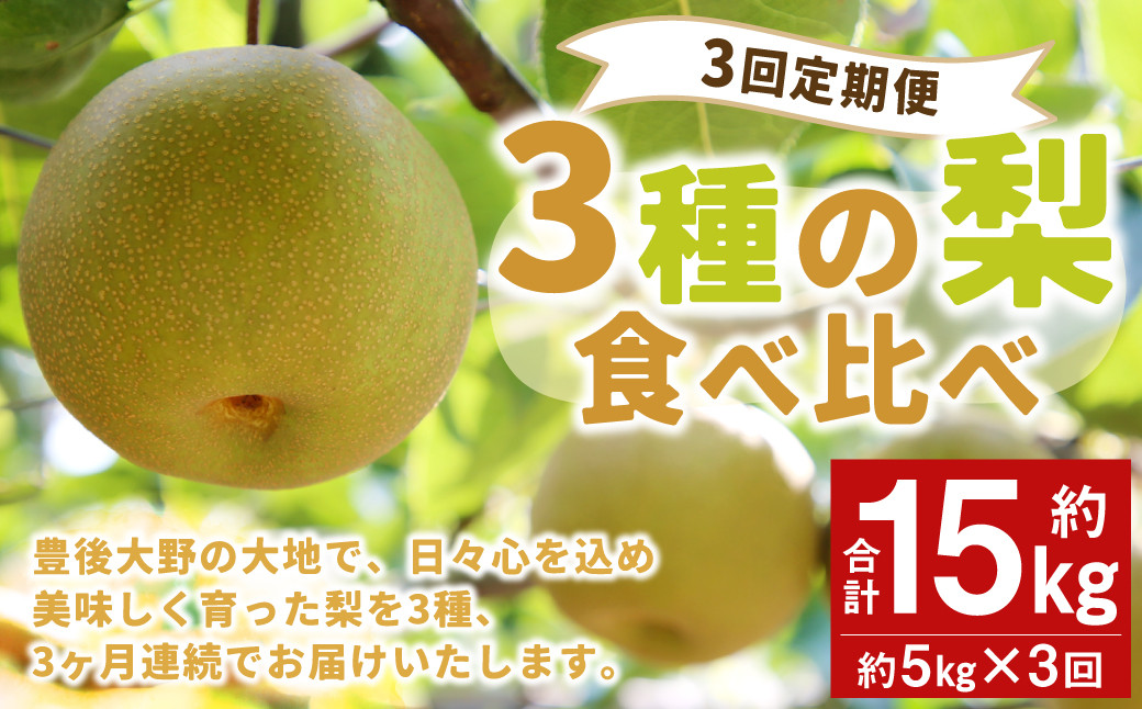 
                  037-1054x2 【先行予約】【3回定期便】 3種の梨 食べ比べ 定期便 約5kg×3回 合計 約15kg【2026年9月上旬～2026年12月上旬発送予定】
                