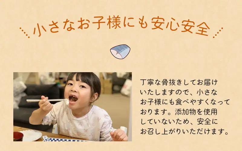さば 骨無し 無添加 切身 塩さば 約1.25kg（250g×5パック 20枚）【nss501C】