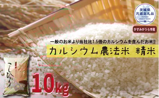カルシウム農法米 精米10kg 茨城県共通返礼品・かすみがうら市産 米 お米 白米 こめ 精米 取り寄せ 特産 ごはん ご飯 コメ お取り寄せ ギフト 贈り物 お弁当 弁当 おにぎり ふっくら ツヤツヤ 甘い 農家直送 産地直送 国産 茨城県産