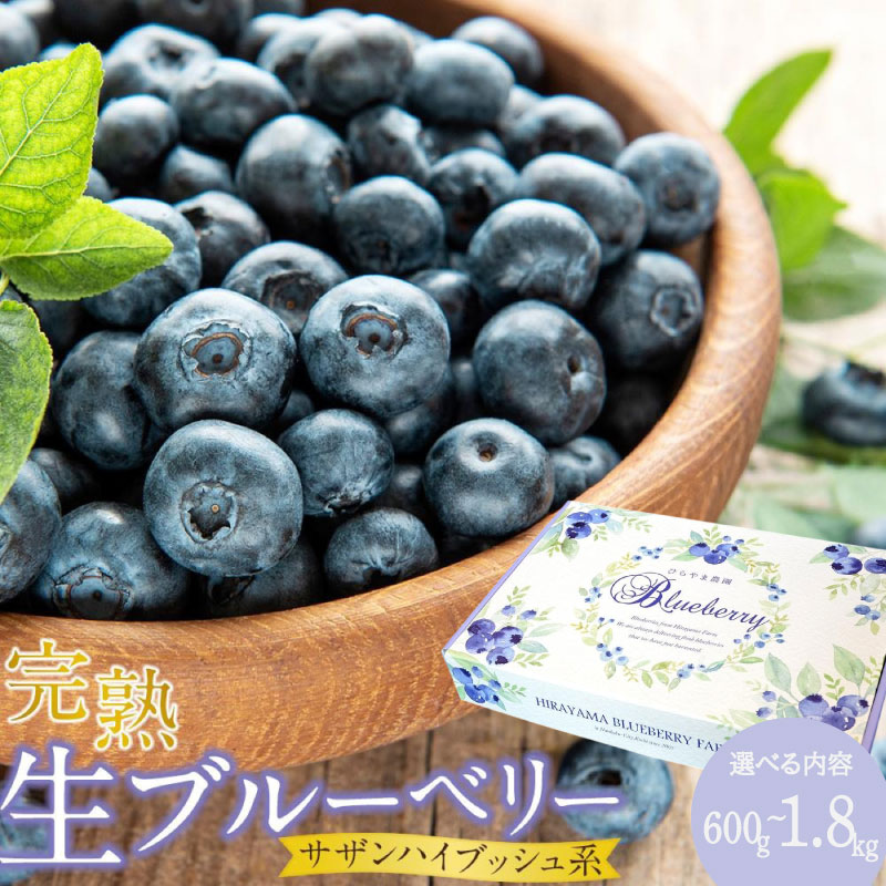 【ふるさと納税】 ブルーベリー 完熟生ブルーベリー サザンハイブッシュ系 農家直送 贈答用 600g 1200g 訳あり 900g 1800g 2026年発送 早期予約 土佐ひらやま農園 フルーツ 果物 くだもの 食品 人気 おすすめ 高知県 南国市