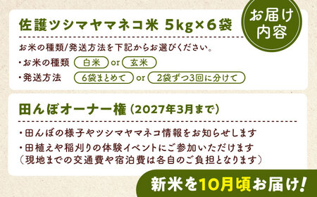 対馬 佐護 ツシマヤマネコ 米 田んぼオーナー1年権【ツシマヤマネコ米30kg付き】（対馬市） 米作り体験 田植え 体験 稲刈り 離島 チケット  [WAP015]