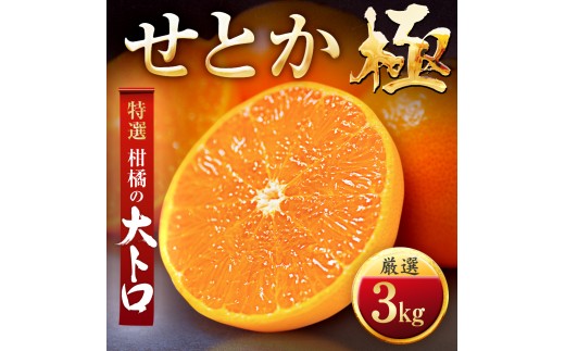 「夕やけブランド」柑橘の大トロ!＜せとか＞3kg＜E49-67＞_みかん ミカン 蜜柑 せとか 果物 くだもの フルーツ デザート 甘い おいしい かんきつ 柑橘 柑橘類 国産 愛媛 愛媛県 八幡浜市 産直 産地直送 送料無料【1509770】 YWTZ059