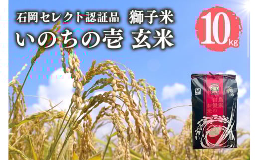【令和6年産】獅子米 いのちの壱 玄米 10kg 岡田ファーム コンテスト受賞米 お米 米 おこめ ブランド米 10キロ 国産 単一原料米 コメ こめ ご飯 銘柄米 茨城県産 茨城 産直 産地直送 農家直送 ごはん 家庭用 贈答用 お取り寄せ 茨城県 石岡市 (B02-019)