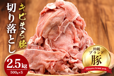 豚肉 切り落とし 2.5kgセット 小分け 500g×5 訳あり
