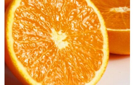 【予約】【ジューシー】清見オレンジ 2.5kg　※2026年3月下旬頃〜2026年4月中旬頃に順次発送予定（お届け日指定不可）【uot832】
