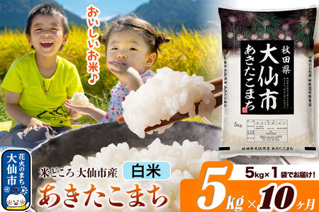 米《定期便10ヶ月》あきたこまち【白米】 米どころ秋田県大仙市産 令和7年産 精米 5kg（5kg×1袋）