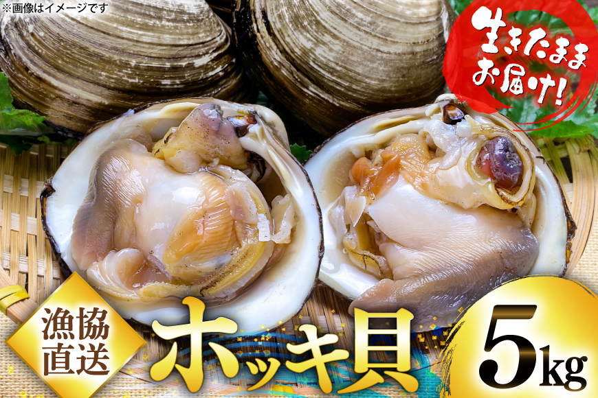 【期間限定発送】【2月発送】 ホッキ貝 5kg [百石町漁業協同組合 青森県 おいらせ町 oi02ayo550003] ほっき貝 ブランド 奥入瀬 北寄貝 ホッキ ほっき