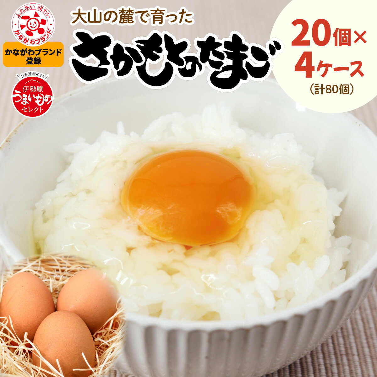 【ふるさと納税】坂本養鶏 大山の麓で育ったさかもとのたまご 80個 (20個×4ケース)｜赤玉卵 玉子 鶏卵 産直 卵かけご飯 たまご タマゴ [0090]