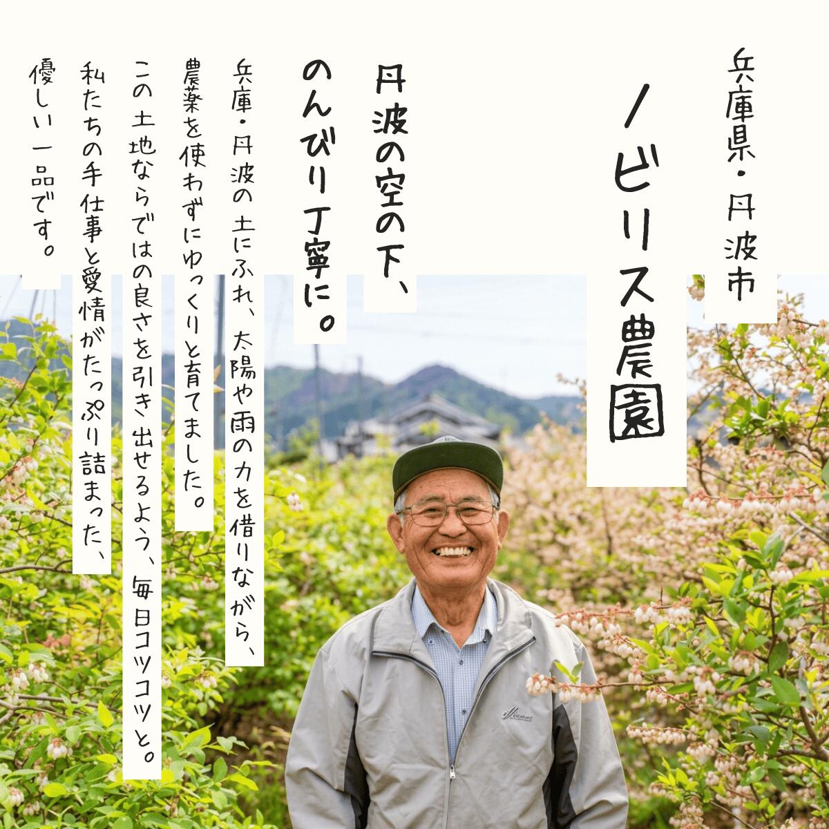 〈先行予約〉令和8年産 丹波市産 ブルーベリー 冷凍 2kg 超大粒 無農薬 有機栽培 ひょうご安心ブランド 果物 フルーツ くだもの ぶるーべりー 産地直送 お取り寄せ 兵庫県 丹波市