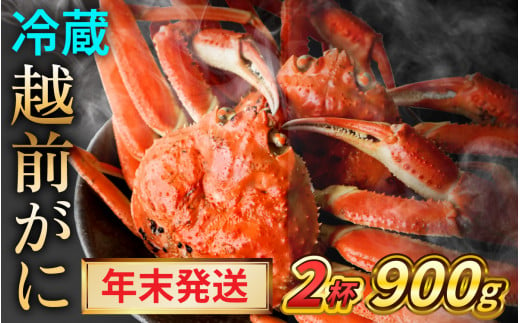 【年末発送】【先行予約】越前がに 900ｇ×2ハイ【2024年12月25～29日順次発送】｜蟹 かに カニ 越前ガニ 越前がに ズワイガニ ずわいがに ボイル 900g 2杯 2ハイ 福井 冷蔵 送料無料