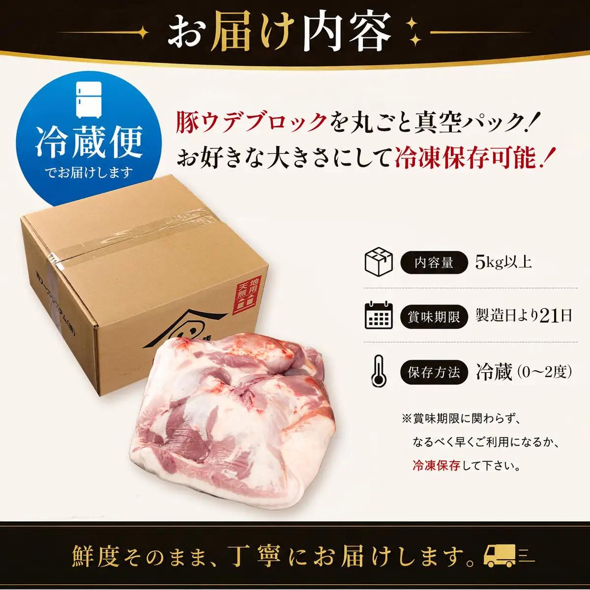 豚肉 【訳あり・大容量】和豚 ウデブロック 5kg 豚肉 [BW100-2511]